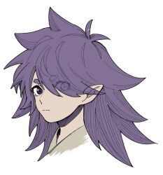 Rule 34 | 1boy, antenna hair, closed eyes, fengxi (the legend of luoxiaohei), long hair, looking at viewer, luo xiaohei zhanji, male focus, nploser, pointy ears, portrait, purple eyes, purple hair, short eyebrows, simple background, solo, very long hair, white background