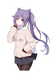 Rule 34 | 1girl, absurdres, arm up, black pantyhose, black thighhighs, breasts, eyebrows hidden by hair, genshin impact, hair between eyes, highres, keqing (genshin impact), long hair, looking at viewer, pantyhose, purple eyes, purple hair, school uniform, shirt, shixuexiao, simple background, skirt, solo, sweater, sweater vest, thighhighs, twintails, white background