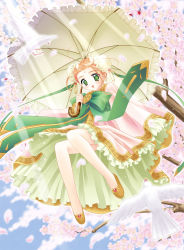 Rule 34 | absurdres, cherry blossoms, highres, louis&amp;visee, solo, tagme, umbrella, umbrella riding