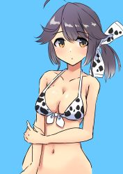 Rule 34 | 1girl, absurdres, ahoge, animal print, bikini, bikini top only, blue background, breasts, cleavage, commentary request, cow print, front-tie top, gradient hair, grey hair, hair ribbon, hayanami (kancolle), highres, kantai collection, komb, looking at viewer, medium breasts, multicolored hair, navel, ponytail, ribbon, sidelocks, simple background, solo, swimsuit, upper body, white bikini, white ribbon, yellow eyes