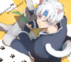 Rule 34 | 1boy, animal ears, armor, bandana, blue bandana, blue eyes, blush, cape, cat boy, cat ears, cat tail, crossed legs, fang, fang out, furrowed brow, happy birthday, holding, holding plant, lealea5656, long sleeves, looking at viewer, looking up, male focus, parted bangs, paw print, paw print background, plant, puyopuyo, puyopuyo quest, schezo wegey, short hair, sitting, solo, sweat, tail, white hair