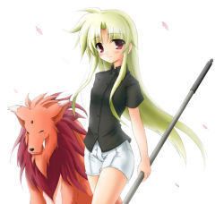 Rule 34 | 00s, 1girl, aoi wakusei, arf, bardiche (nanoha), blonde hair, cowboy shot, creature, fate testarossa, holding, holding weapon, long hair, looking at viewer, lyrical nanoha, mahou shoujo lyrical nanoha, polearm, red eyes, rod, short shorts, shorts, sidelocks, simple background, staff, standing, thighs, very long hair, weapon, white background