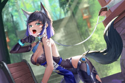 Rule 34 | 2girls, animal ear fluff, animal ears, aqua eyes, bare shoulders, black gloves, black hair, blue hair, blunt bangs, blurry, blurry background, bob cut, bracelet, braid, breasts, brooch, cleavage, dice, dutch angle, elbow gloves, fangs, fox ears, fox tail, genshin impact, gloves, gradient hair, hand up, highres, jewelry, kemonomimi mode, large breasts, leash, light rays, looking at viewer, lumine (genshin impact), mole, mole on breast, multicolored hair, multiple girls, open mouth, outdoors, short hair, single glove, sleeveless, solo focus, tail, thighs, tongue, yelan (genshin impact), yin lan xue