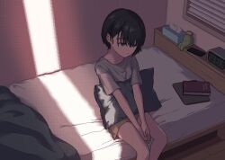 Rule 34 | 1girl, black eyes, black hair, blush, book, clock, closed mouth, digital clock, expressionless, highres, holding, holding hands, holding pillow, indoors, narume, on bed, original, phone, pillow, pixel art, shirt, shorts, sitting, solo, t-shirt, window shutter