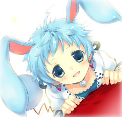 Rule 34 | 1girl, :d, animal ears, azumarill, bad id, bad pixiv id, bell, blue eyes, blue hair, rabbit ears, creatures (company), earrings, game freak, gen 2 pokemon, jewelry, looking up, matching hair/eyes, moemon, nintendo, open mouth, personification, pokemon, short hair, smile, solo, tail, takeda mika