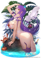 Rule 34 | 1girl, animal, arched back, arm up, ass, bangle, bare shoulders, blush, bracelet, breasts, bug, butterfly, cleavage, crab, dinergate (girls&#039; frontline), fish, girls&#039; frontline, hat, highres, insect, jewelry, large breasts, long hair, looking at viewer, mouth hold, octopus, official alternate costume, official art, one-piece swimsuit, plant, purple hair, red eyes, solo, starfish, swimsuit, torn clothes, torn swimsuit, unworn hat, unworn headwear, very long hair, water, wet, white hat, white one-piece swimsuit, whoisshe, zb-26 (girls&#039; frontline), zb-26 (nook of ephemeral dreams) (girls&#039; frontline)