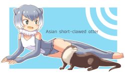 Rule 34 | 10s, 1girl, :d, animal ears, bad id, bad pixiv id, character name, elbow gloves, fur collar, gloves, gradient hair, green eyes, grey hair, kemono friends, multicolored hair, open mouth, otter, otter ears, pozesuke, small-clawed otter (kemono friends), smile, thighhighs, white hair