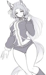 Rule 34 | 1girl, alternate costume, animal ears, blush, buruma, closed mouth, ear covers, ear ornament, godolphin barb (umamusume), greyscale, highres, horse ears, horse girl, horse tail, jacket, kneehighs, long hair, long sleeves, looking at viewer, monochrome, pataneet, simple background, smile, socks, solo, tail, umamusume, white background