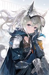 Rule 34 | 1girl, alchemaniac, animal ears, arknights, blush, collarbone, grani (arknights), grey hair, grin, hair between eyes, highres, layered sleeves, long hair, looking at viewer, parted lips, ponytail, purple eyes, smile, solo, tail, tropical fish, wolf ears, wolf tail