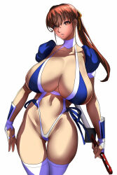 Rule 34 | 1girl, absurdres, breasts, dead or alive, highres, huge breasts, kasumi (doa), long hair, solo