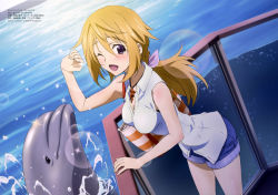 Rule 34 | 10s, 1girl, absurdres, blonde hair, casual, charlotte dunois, dolphin, highres, infinite stratos, kondou natsuko, legs, long hair, non-web source, official art, one eye closed, open mouth, ponytail, purple eyes, shorts, solo, water