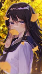 Rule 34 | 1girl, autumn, autumn leaves, black hair, black neckerchief, black sailor collar, blush, closed mouth, commentary request, day, falling leaves, from side, highres, holding, holding leaf, leaf, long hair, long sleeves, looking at viewer, looking to the side, neckerchief, original, outdoors, p2 (uxjzz), purple eyes, sailor collar, school uniform, serafuku, shirt, solo, white shirt