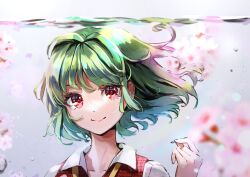 Rule 34 | 1girl, closed mouth, collarbone, commentary, eyelashes, floating hair, green hair, hand up, kazami yuuka, looking at viewer, petals, plaid, plaid vest, portrait, red eyes, red vest, shironeko yuuki, shirt, short hair, smile, solo, touhou, vest, white shirt