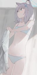 Rule 34 | 1girl, animal ear fluff, animal ears, blue archive, blue bra, blue panties, bra, breasts, commentary request, grey hair, highres, hiroki (yyqw7151), holding, holding clothes, holding shirt, looking away, looking to the side, panties, shiroko (blue archive), shirt, short hair, short shorts, shorts, small breasts, solo, underwear, underwear only, white shirt