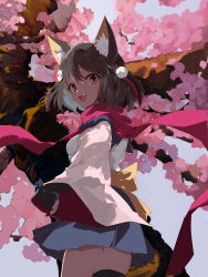 Rule 34 | 1569847238, 1girl, absurdres, animal ear fluff, animal ears, black gloves, blue archive, blue skirt, breasts, brown hair, cherry blossoms, fang, fox ears, gloves, highres, izuna (blue archive), looking at viewer, looking back, no halo, outdoors, partially fingerless gloves, pom pom (clothes), red scarf, scarf, skirt, small breasts, smile, solo, wide sleeves