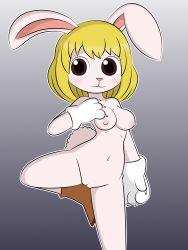 Rule 34 | absurdres, carrot (one piece), furry, furry female, furry girl, highres, one piece, tagme