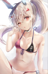 Rule 34 | 1girl, :o, ayanami (azur lane), azur lane, bandaid, bandaid on arm, bare arms, bare shoulders, bikini, breasts, brown hair, collarbone, commentary request, front-tie bikini top, front-tie top, hair between eyes, hair ornament, hairclip, hand up, head tilt, headgear, highres, looking at viewer, natuna natu, navel, parted lips, ponytail, red eyes, side-tie bikini bottom, small breasts, solo, swimsuit