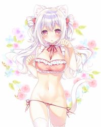 Rule 34 | 1girl, animal ears, artist request, bikini, bikini pull, blush, bow, breasts, cat ears, cat tail, choker, clothes pull, cowboy shot, floral background, frilled bikini, frills, gluteal fold, hair bow, large breasts, long hair, lowleg, lowleg panties, navel, original, panties, parted lips, paw pose, plaid, plaid bikini, red bikini, red bow, red eyes, ribbon choker, side-tie bikini bottom, solo, stomach, swimsuit, tail, thighhighs, two side up, underwear, white background, white hair, white thighhighs