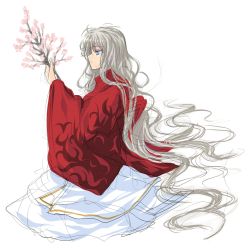 Rule 34 | androgynous, blue eyes, branch, cherry blossoms, gender request, grey hair, hara takehito, highres, japanese clothes, kimono, long hair, original, simple background, solo, very long hair, wavy hair, white background