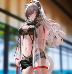 Rule 34 | 1girl, absurdres, animal ears, arknights, bikini, black bikini, black scarf, black shorts, blurry, blurry background, breasts, cat ears, cat girl, cat tail, cleavage, clothes pull, cowboy shot, grey hair, hair over one eye, highres, jacket, large breasts, long hair, looking at viewer, open clothes, open fly, open jacket, ponytail, pulled by self, scarf, schwarz (arknights), see-through, see-through jacket, shorts, shorts pull, solo, sonna watashi, swimsuit, tail, very long hair, white jacket, yellow eyes