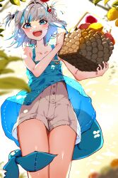Rule 34 | 1girl, absurdres, basket, blue dress, blue eyes, blue hair, blunt bangs, blurry, blush, collarbone, commentary, depth of field, dress, english commentary, feet out of frame, from below, fruit basket, gawr gura, grey hair, hair ornament, highres, holding, holding basket, hololive, hololive english, looking at viewer, multicolored hair, open mouth, raven mido, shark hair ornament, sharp teeth, short hair, shorts, smile, solo, standing, streaked hair, teeth, thighhighs, two side up, virtual youtuber, white shorts