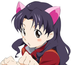 Rule 34 | 1girl, :o, animal ears, black eyes, black hair, blush, cat ears, coat, cosplay, crossover, face, hummy (suite precure), hummy (suite precure) (cosplay), katsuragi misato, long hair, mitsuishi kotono, neon genesis evangelion, open mouth, parted bangs, precure, solo, suite precure, umanosuke, voice actor connection