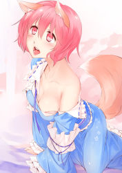 Rule 34 | 1girl, animal ears, bare shoulders, blush, breasts, cleavage, fox ears, fox tail, highres, in heat, japanese clothes, kemonomimi mode, off shoulder, open mouth, pink eyes, pink hair, pino (birthdayparty), saigyouji yuyuko, short hair, solo, tail, touhou