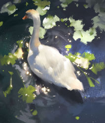 Rule 34 | animal, animal focus, beak, bird, feathers, from above, leaf, nature, no humans, original, photo-referenced, plant, pond, realistic, swan, water, white feathers, zudarts lee