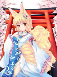 Rule 34 | 1girl, animal ears, blonde hair, blush, cherry blossoms, female focus, fox ears, fox tail, fred0092, highres, looking at viewer, red eyes, short hair, solo, tail, torii, touhou, yakumo ran