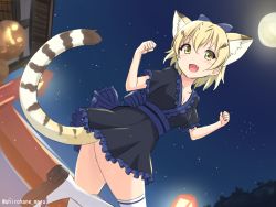 Rule 34 | 1girl, :d, absurdres, alternate costume, animal ear fluff, animal ears, black dress, blonde hair, blue bow, blush, bow, cat ears, cat girl, cat tail, clenched hands, dress, dutch angle, extra ears, fang, frilled dress, frills, full moon, hair between eyes, hair bow, highres, kemono friends, looking at viewer, moon, night, open mouth, outdoors, sand cat (kemono friends), sandals, sash, shiraha maru, short hair, short sleeves, sky, smile, solo, standing, standing on one leg, star (sky), starry sky, tail, thighhighs, twitter username, white thighhighs, yellow eyes