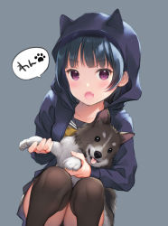 Rule 34 | 1girl, animal, animal ears, anko (love live! sunshine!!), black hair, black thighhighs, dog, fake animal ears, fang, grey background, holding, holding animal, hood, hoodie, looking at viewer, love live!, love live! school idol festival, love live! sunshine!!, mignon, open mouth, puppy, purple eyes, simple background, skirt, solo, squatting, thighhighs, tsushima yoshiko