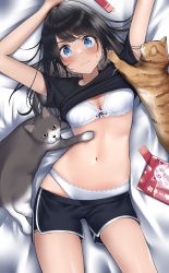 Rule 34 | 1girl, animal ears, arms up, bad id, bad pixiv id, black hair, black shirt, black shorts, blue eyes, blush, bra, breasts, cat, closed mouth, clothes lift, clothes pull, commentary request, from behind, highres, kaku yone, lace, lace-trimmed bra, lace-trimmed panties, lace trim, long hair, looking at viewer, lying, navel, on back, on bed, original, panties, shirt, shirt lift, short shorts, short sleeves, shorts, shorts pull, small breasts, solo, swept bangs, t-shirt, tareme, underwear, white bra, white panties