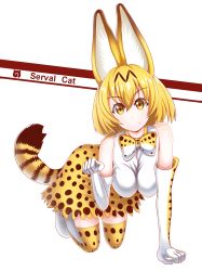 Rule 34 | 10s, 1girl, absurdres, all fours, animal ears, blonde hair, boots, bow, breasts, character name, elbow gloves, gloves, hanging breasts, highres, japari symbol, kedama (nexusnnn), kemono friends, looking at viewer, medium breasts, paw pose, serval (kemono friends), serval print, serval tail, shiny skin, shirt, short hair, skirt, sleeveless, sleeveless shirt, smile, solo, tail, thigh boots, thighhighs, underwear, white background, yellow eyes, yellow skirt