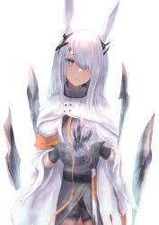 Rule 34 | 1girl, absurdres, animal ears, arknights, black gloves, black shorts, commentary request, cowboy shot, dress, frostnova (arknights), furido (frifridress), gloves, grey dress, grey eyes, hair over one eye, highres, jacket, long hair, long sleeves, looking at viewer, open clothes, open jacket, partial commentary, rabbit ears, scar, scar on face, scar on nose, shorts, silver hair, smile, solo, standing, white background, white jacket