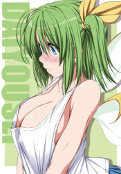 Rule 34 | 1girl, bare shoulders, blue eyes, blue skirt, blush, border, breasts, character name, cleavage, collarbone, daiyousei, drop shadow, fairy wings, green background, green hair, hair between eyes, hair ribbon, large breasts, nori tamago, nose blush, one side up, outside border, pleated skirt, ribbon, shirt, short hair, simple background, skirt, solo, sweat, tank top, touhou, upper body, white border, white shirt, wings, yellow ribbon