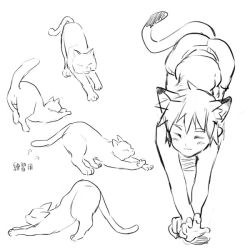 Rule 34 | 1boy, animal ears, animal hands, cat, cat boy, cat ears, cat tail, closed eyes, coin rand, greyscale, monochrome, multiple views, neko otouto, original, pointy hair, shorts, simple background, sketch, stretching, tail, translation request, wavy mouth, white background