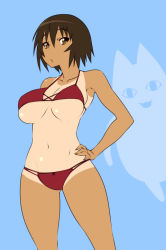 Rule 34 | &lt;o&gt; &lt;o&gt;, 1girl, 1other, :/, azumanga daiou, bikini, blue background, breasts, brown eyes, brown hair, cowboy shot, creature, floating, hand on own hip, kagura, kagura (azumanga daioh), large breasts, looking at viewer, medium breasts, mihama chiyo&#039;s father, navel, nekomamire, one-piece tan, red bikini, shiny skin, short hair, simple background, solo, standing, swimsuit, tan, tanline, underboob