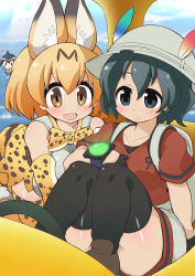 Rule 34 | 10s, 3girls, alternate legwear, animal ears, bad id, bad pixiv id, bow, bowtie, bucket hat, common dolphin (kemono friends), elbow gloves, gloves, hair between eyes, hat, hat feather, japari bus, japari symbol, kaban (kemono friends), kemono friends, lucky beast (kemono friends), multicolored hair, multiple girls, rakuma kanori, serval (kemono friends), serval print, serval tail, sleeveless, spoilers, tail, thighhighs, two-tone hair