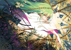 Rule 34 | 1other, absurdres, androgynous, black ribbon, blue flower, chain, commentary, english commentary, enkidu (fate), expressionless, fate/grand order, fate (series), floating hair, floral background, flower, grass, green eyes, green hair, hair between eyes, hand on own arm, hands up, heterochromia, highres, huge filesize, long hair, long sleeves, looking at viewer, looking to the side, outstretched arm, purple eyes, ribbon, robe, seomouse, sidelocks, solo, starry sky print, toga, very long hair, white flower, white robe, wide sleeves, yellow flower