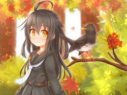 Rule 34 | 1girl, alternate eye color, antenna hair, autumn leaves, belt, bird, black hair, black sailor collar, black serafuku, black shirt, black skirt, blouse, breasts, collarbone, crescent, crescent pin, day, forest, hair between eyes, highres, kantai collection, leaf, long hair, long sleeves, looking at viewer, maple leaf, mikazuki (kancolle), nature, necktie, orange eyes, outdoors, pleated skirt, sailor collar, school uniform, serafuku, shirt, skirt, small breasts, smile, sunlight, suzushiro (gripen39), tree, white neckwear