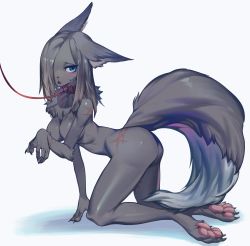 Rule 34 | 1girl, absurdres, all fours, animal ears, blue eyes, blush, borrowed character, breasts, collar, crawling, female focus, furry, furry female, grey hair, hair over one eye, highres, leash, nude, open mouth, original, sb lama, scar, simple background, solo, tail, white background, wolf ears, wolf tail