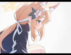 Rule 34 | 1girl, animal ear fluff, animal ears, blonde hair, blue archive, blue eyes, blush, cat ears, closed mouth, extra ears, flower, hair flower, hair ornament, hair ribbon, halo, highres, jacket, letterboxed, long hair, looking down, low ponytail, mari (blue archive), mari (track) (blue archive), nonddu, parted bangs, ribbon, sidelocks, solo, squatting, track jacket, white background, white ribbon, yellow halo