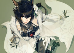 Rule 34 | 1girl, absurdres, animal ears, armor, warrior of light (ff14), black footwear, black gloves, black hair, boots, closed mouth, coat, collarbone, crossed legs, facial mark, feather-trimmed sleeves, feather trim, fictional persona, final fantasy, final fantasy xiv, flower, foreshortening, fur-trimmed coat, fur trim, gem, gloves, green background, green eyes, hair between eyes, hair flower, hair ornament, hatching (texture), highres, kyo (kuroichigo), lipstick, long hair, makeup, miqo&#039;te, puffy sleeves, simple background, sitting, slit pupils, smile, solo, tail, thighhighs, whisker markings, white coat, white flower
