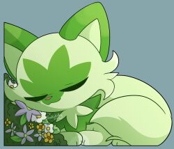 Rule 34 | :3, artist name, closed eyes, closed mouth, commentary, creatures (company), english commentary, flower, full body, game freak, green theme, highres, nintendo, no humans, pokemon, pokemon (creature), sakukittyyy, simple background, sleeping, solo, sprigatito, white flower, yellow flower