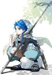 Rule 34 | 1boy, 1other, animal, baozi, blue hair, braid, braided ponytail, capelet, cu chulainn (fate), dagger, dated, dog, eating, fate/grand order, fate/grand order arcade, fate (series), food, full body, highres, holding, hood, hood up, hooded capelet, knife, leaf, long hair, male focus, pants, puffy pants, puppy, red eyes, sandals, scabbard, setanta (fate), sheath, signature, slit pupils, spiked hair, squatting, staff, toumei328, type-moon, weapon