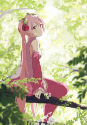 Rule 34 | 1girl, blurry, blurry foreground, branch, cherry hair ornament, closed mouth, collared shirt, commentary request, day, detached sleeves, falling petals, flower, food-themed hair ornament, from behind, hair between eyes, hair ornament, hatsune miku, highres, leaf, long hair, long sleeves, looking at viewer, outdoors, petals, pink eyes, pink hair, pink shirt, pink sleeves, pink thighhighs, pre sktch, sakura miku, shirt, sitting, sleeveless, sleeveless shirt, sleeves past wrists, smile, solo, thighhighs, twintails, vocaloid, white flower