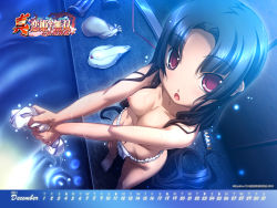 Rule 34 | 10s, 1girl, 2011, :o, barefoot, bird, black hair, breasts, calendar, december, from above, fundoshi, highres, hikage eiji, japanese clothes, koihime musou, large breasts, long hair, nipples, open mouth, red eyes, shuutai, solo, sword, topless, very long hair, wallpaper, weapon