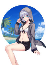 Rule 34 | 1girl, aqua eyes, beach, bikini, bikini under clothes, black shorts, blue sky, breasts, closed mouth, cloud, cloudy sky, collarbone, commentary, day, fate (series), feet out of frame, front-tie bikini top, front-tie top, gray (fate), grey hoodie, halterneck, halterneck, hand up, highres, hood, hoodie, hoodier, invisible chair, legs together, long sleeves, looking at viewer, lord el-melloi ii case files, medium breasts, navel, ocean, open clothes, open fly, open hoodie, outside border, palm tree, round image, short hair, short shorts, shorts, silver hair, sitting, sky, sleeves past wrists, smile, solo, stomach, swimsuit, thighs, tree, water, white background, white bikini