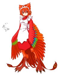 Rule 34 | 1girl, apron, bird, dress, feathers, futaba channel, harpy, hiragana, japanese text, looking at viewer, maid, maid headdress, monster girl, nijiura maids, red dress, red hair, short hair, simple background, solo, standing, suzaku (nijiura maids), talons, translated, white background, winged arms, wings, yellow eyes