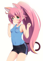 Rule 34 | 1girl, ahoge, animal ear fluff, animal ears, armpits, arms up, bike shorts, black shorts, blue tank top, blush, breasts, cameltoe, cat ears, cat girl, cat tail, chisato (missing park), cleft of venus, clenched hands, commentary request, covered erect nipples, covered navel, extra ears, green eyes, gundam, gundam build divers, gym uniform, highres, long hair, momo (gundam build divers), pink hair, ponytail, short shorts, shorts, simple background, skin tight, small breasts, solo, tail, tank top, thighs, very long hair, white background, yashiro momoka
